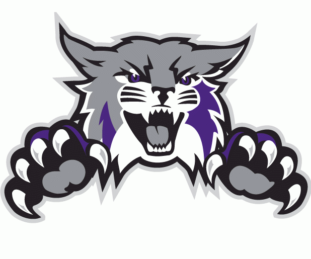 Weber State Wildcats 2012-Pres Alternate Logo t shirts iron on transfers...